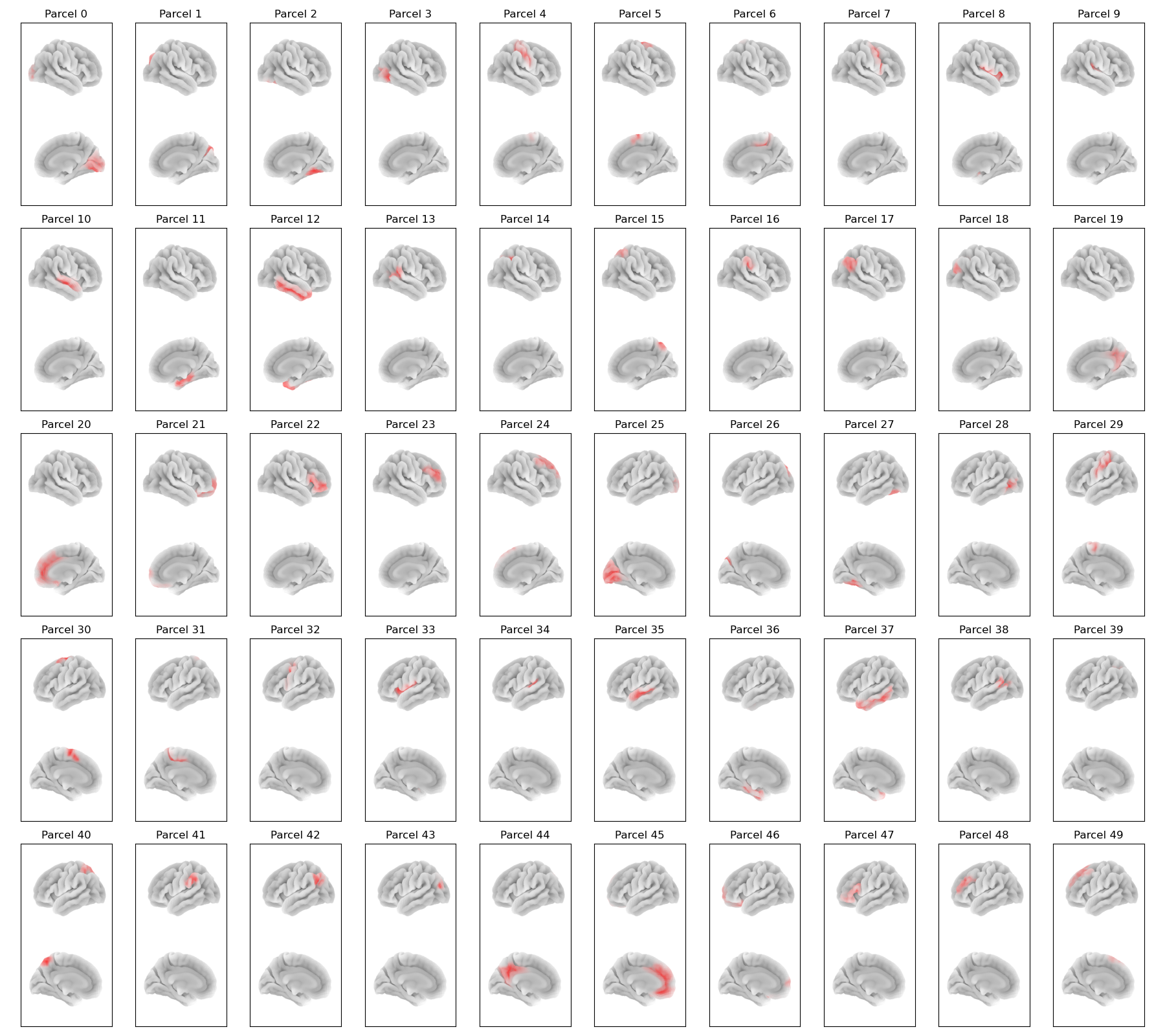 ../_images/glasser50.png